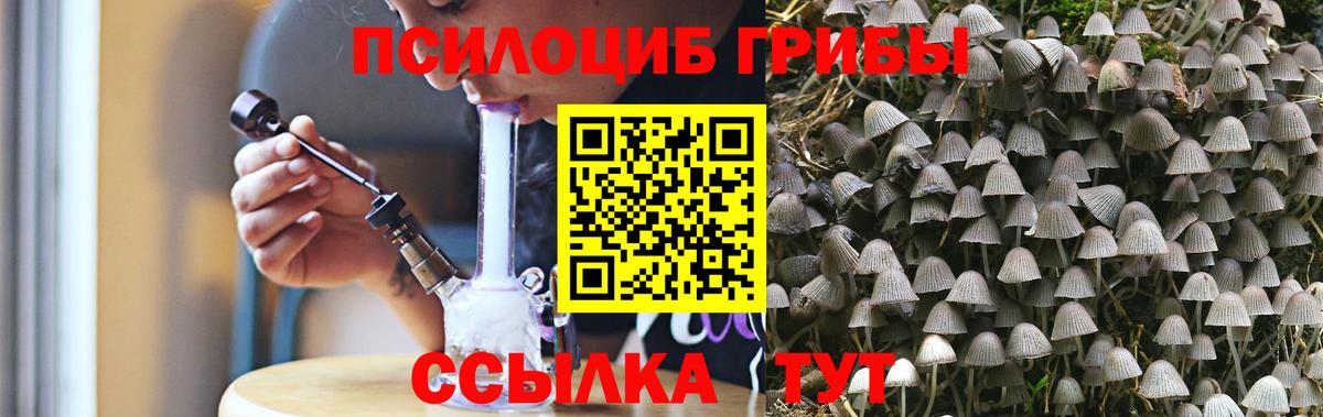 Псилоцибиновые грибы GOLDEN TEACHER  где можно купить   Шадринск  Вход с VPN 